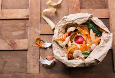Compost 365 zile pe an | Cum să faci?