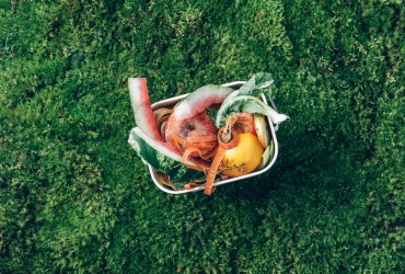 Compost în propria casă | Cum să procedezi?